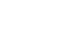 Drone app development