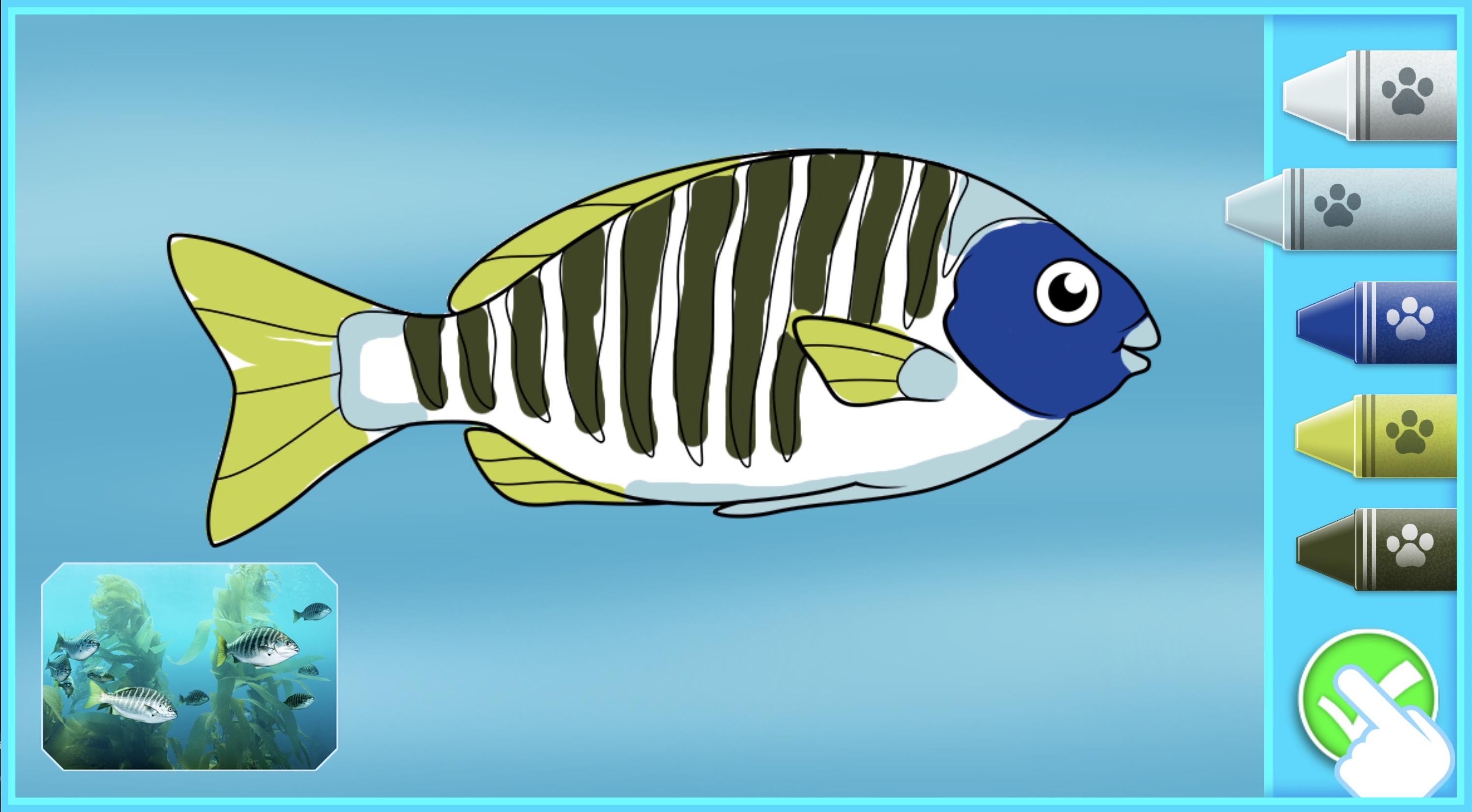 Digital Educational Coloring Aquarium App developed by WM Interactive