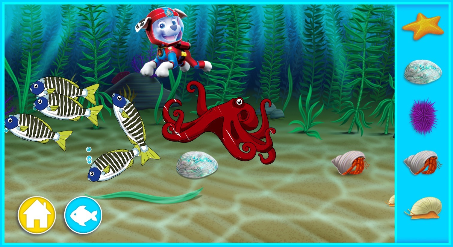 STEM virtual aquarium app